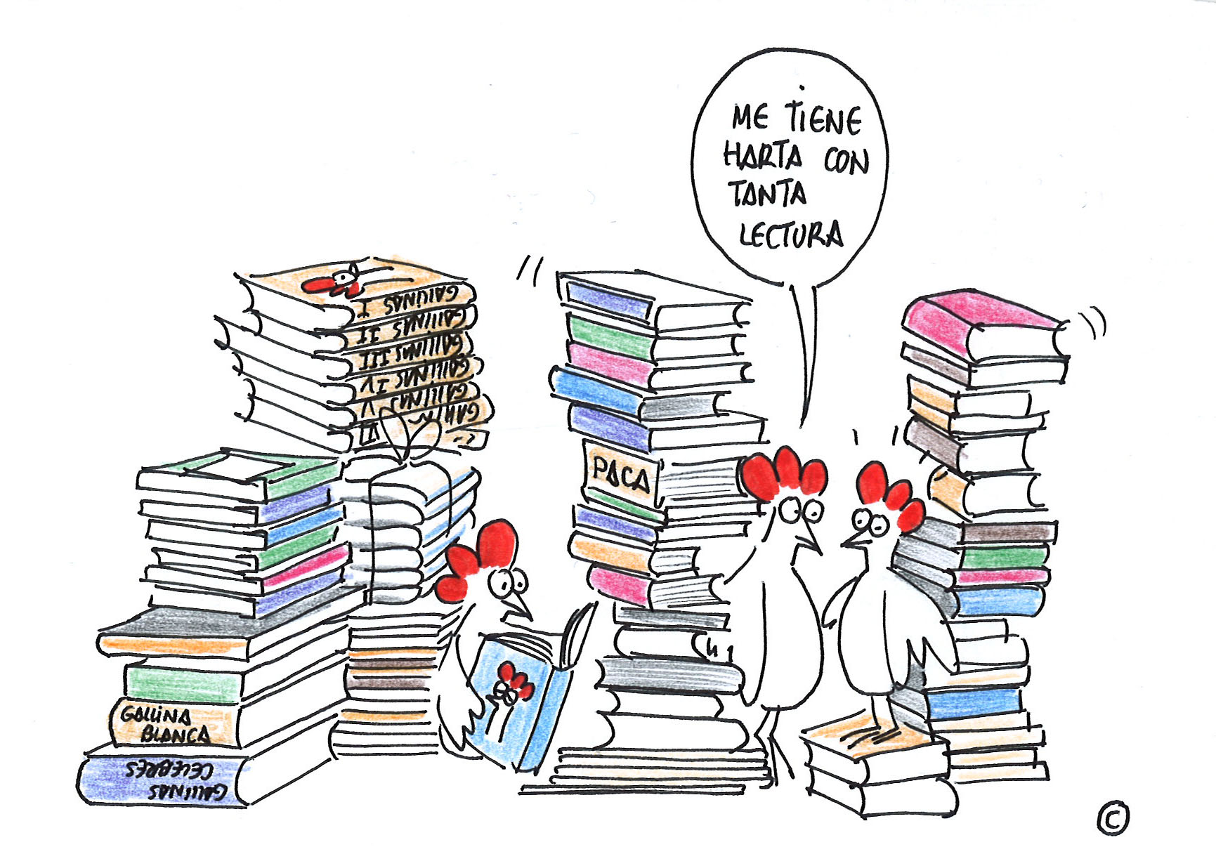 Paca y los libros